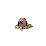 Diglett